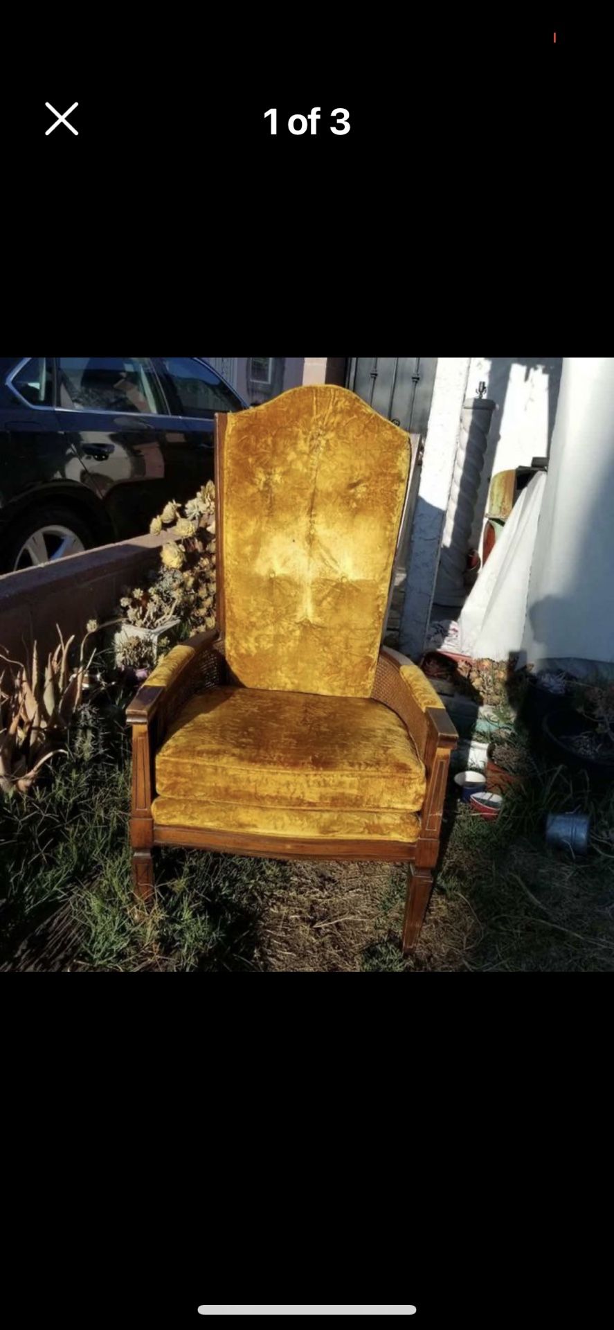 Cane Chair