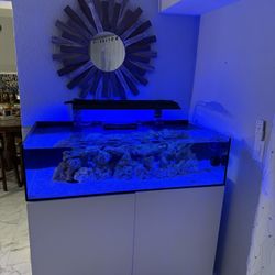 Waterbox 50 Gallon Frag/Shallow Reef Saltwater Tank 