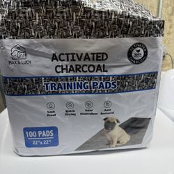 Puppy Pee Pads 