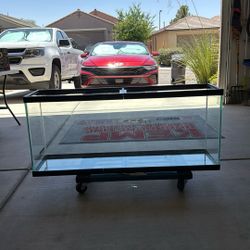 48 Inch Terrarium 