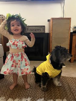 Pineapple Dog Costume