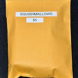 Squishmallows Mystery Pack 