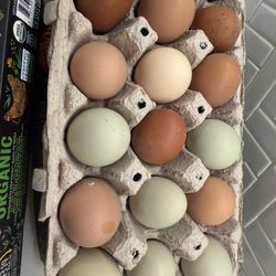 Farm Fresh Eggs