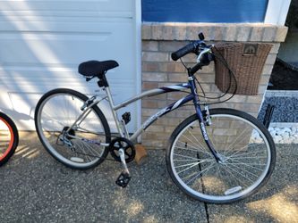 Adult bicycle