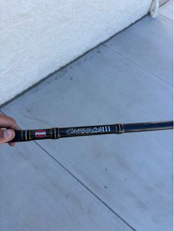 Penn carnage surf rod