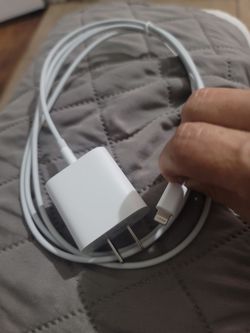 Apple iPhone Wall Charger with Lightning Cable