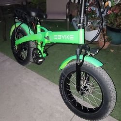 Electric Bike 48v 