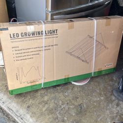 Led Growing Light