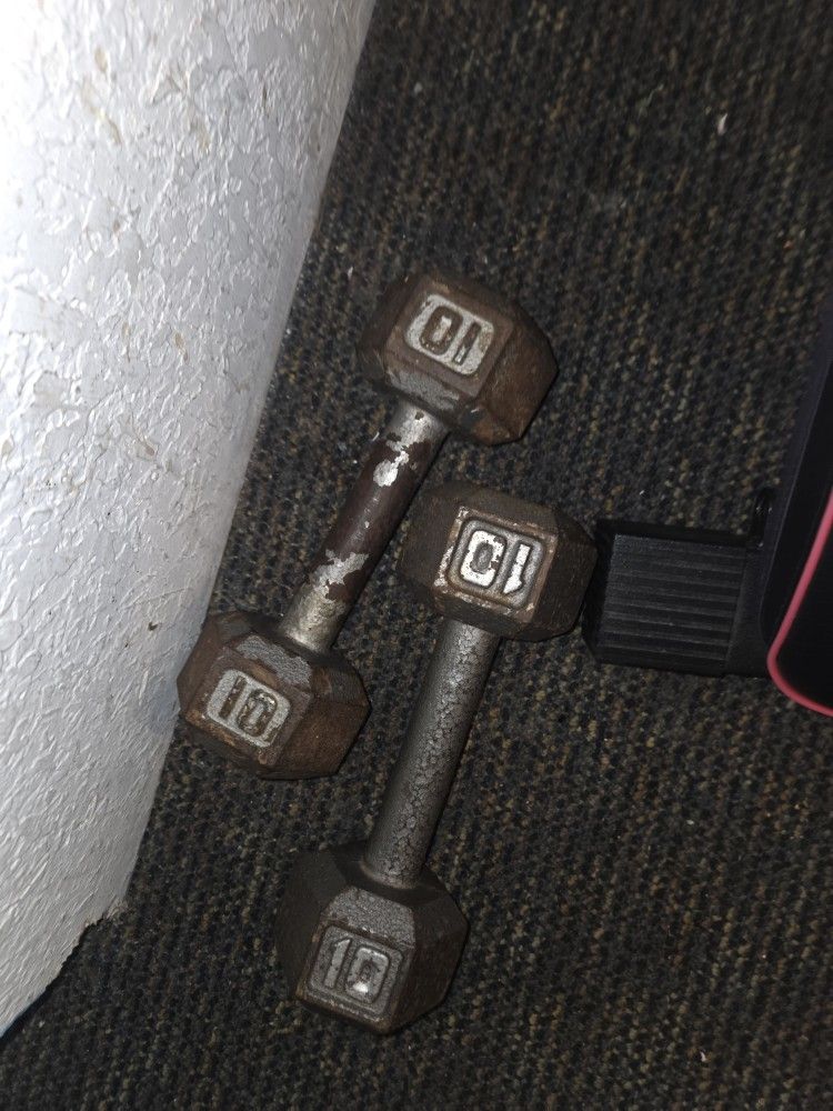 10 Dumbbells