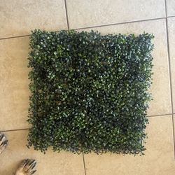 Faux Boxwood Tiles 20x 20