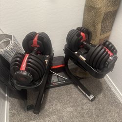 Bowflex 50lbs Weights/Stand and Elliptical $500
