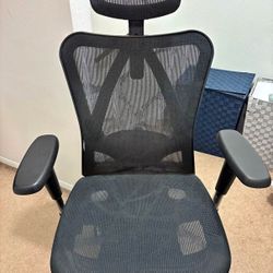 Ergonomic Office Chair * USED - LIKE NEW *
