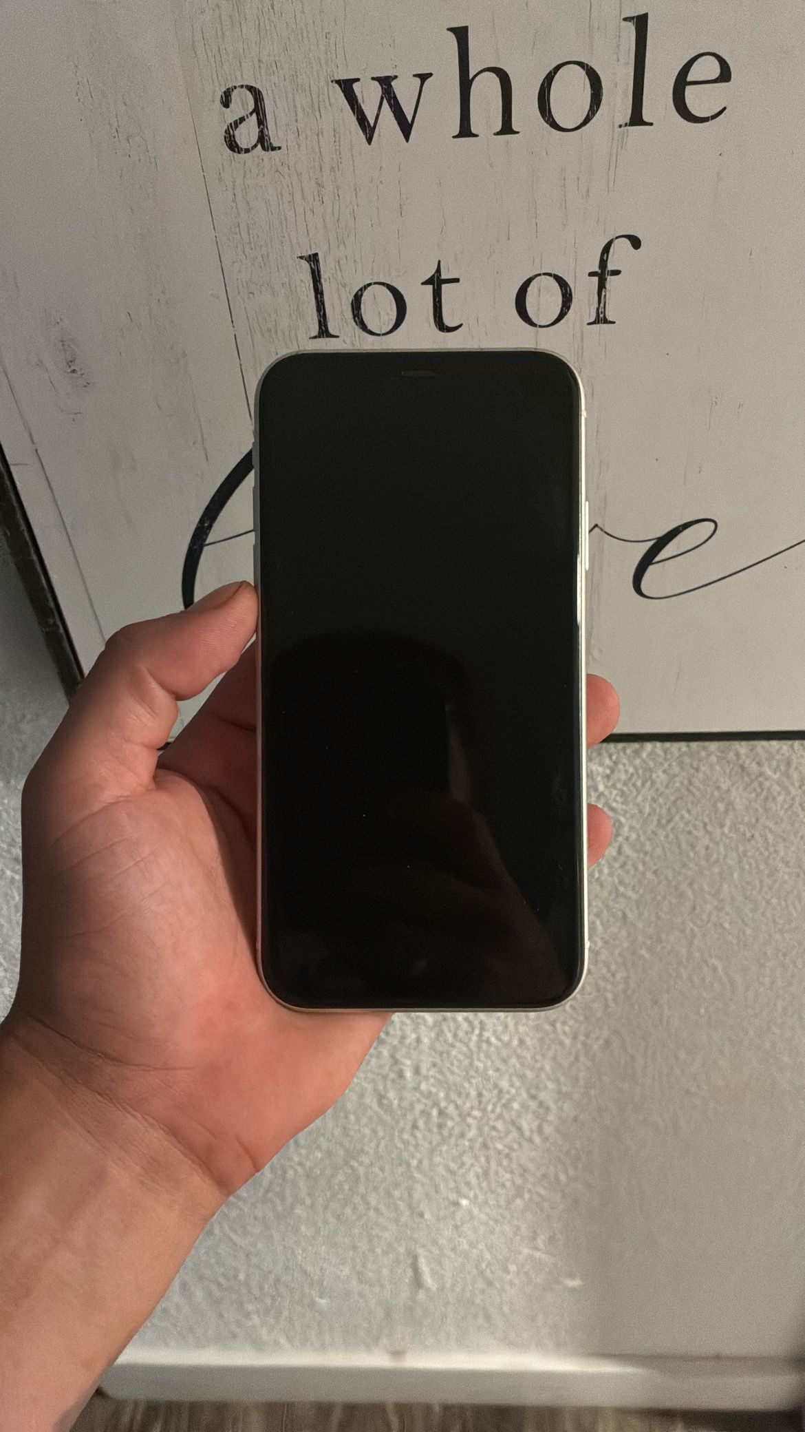 iPhone 11