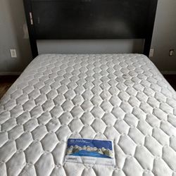 Queen Size Black Platform Bed Frame with Bookcase Headboard - Sturdy & Functional - $150