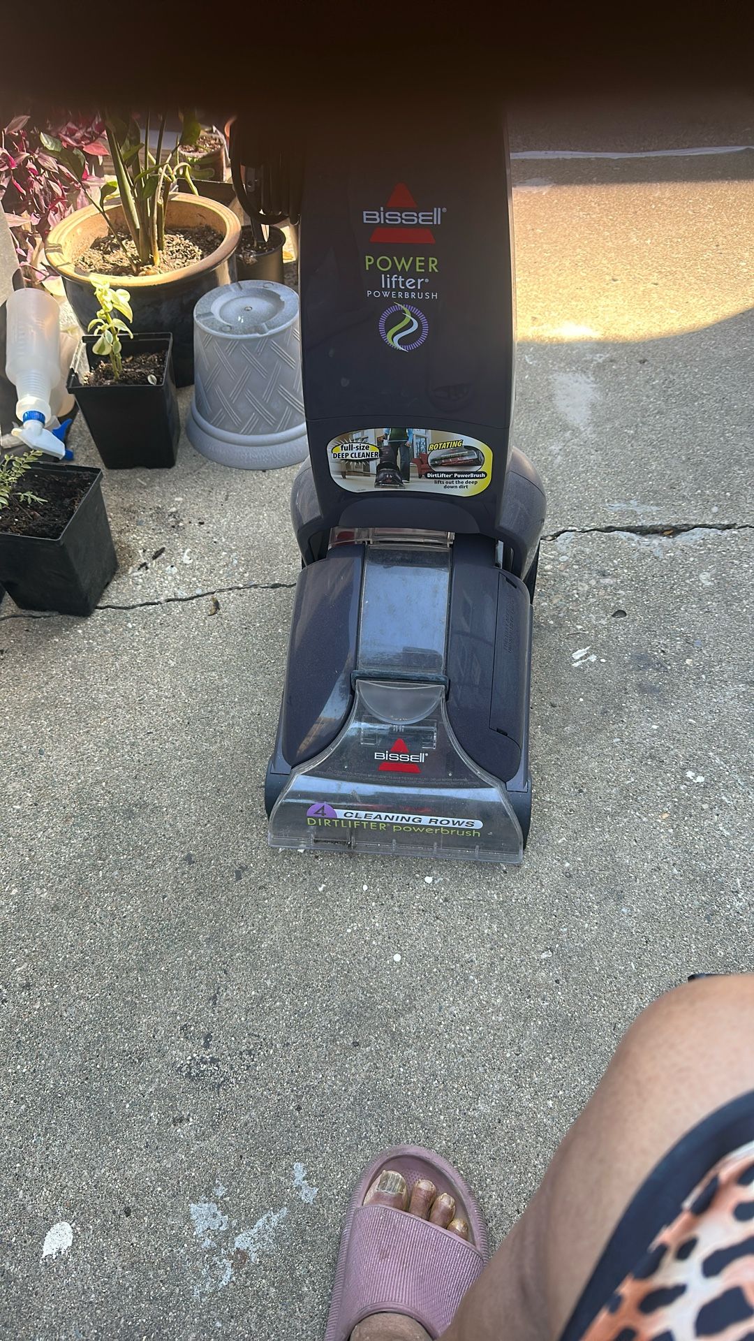 Carpet Steam Cleaner