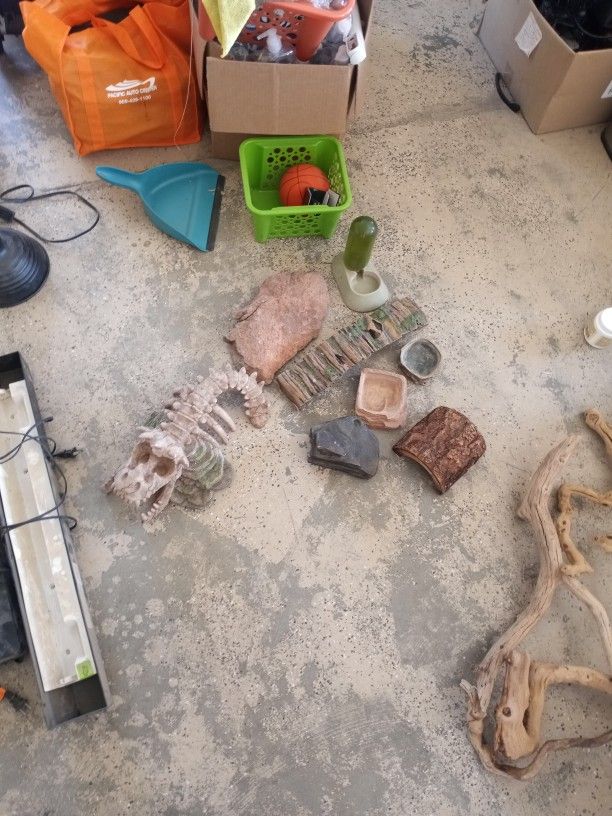 Reptile Hides And Water