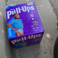 Pull Ups