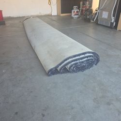 RUG 12X???