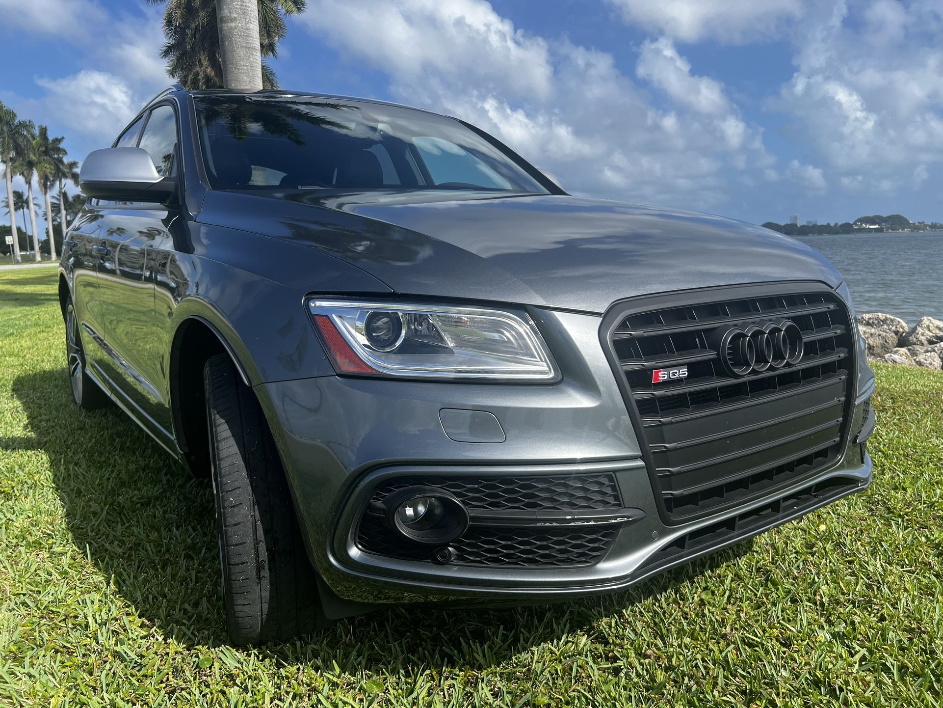 2014 Audi SQ5