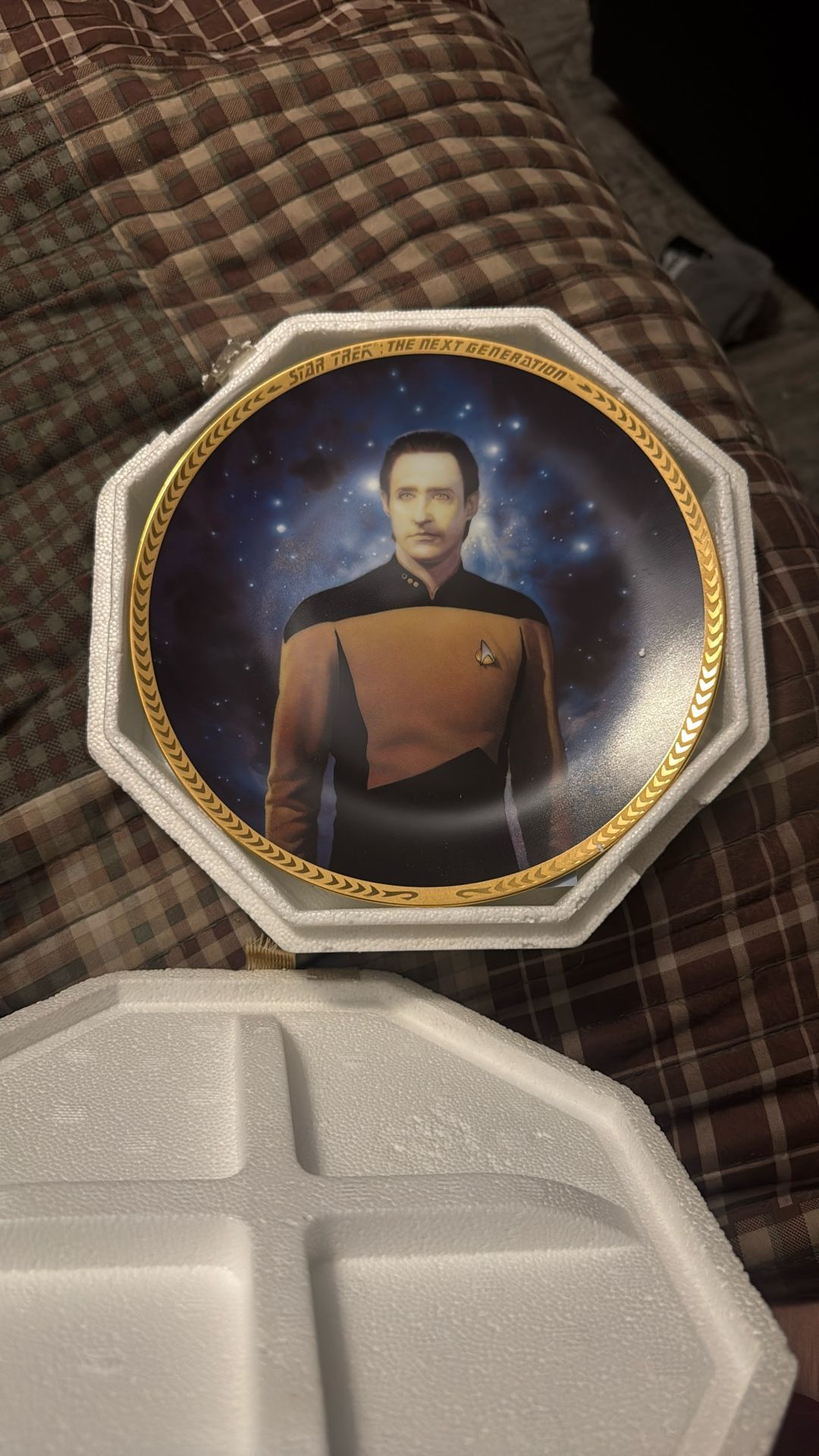 Star Trek Plate