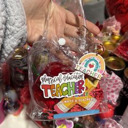 Teacher Apple Bag