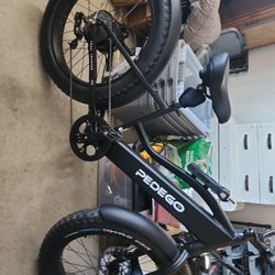 TRAIL TRACKER ELECTRIC BIKE : 24" EDITION