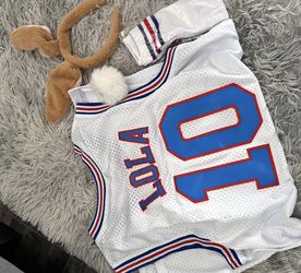 Lola The Bunny
