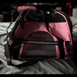 Travel Bag For Small Cat 