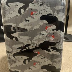 Kids Dinosaur Hard Shell Suitcase Carry-On Spinner Wheels Gray Travel Luggage
