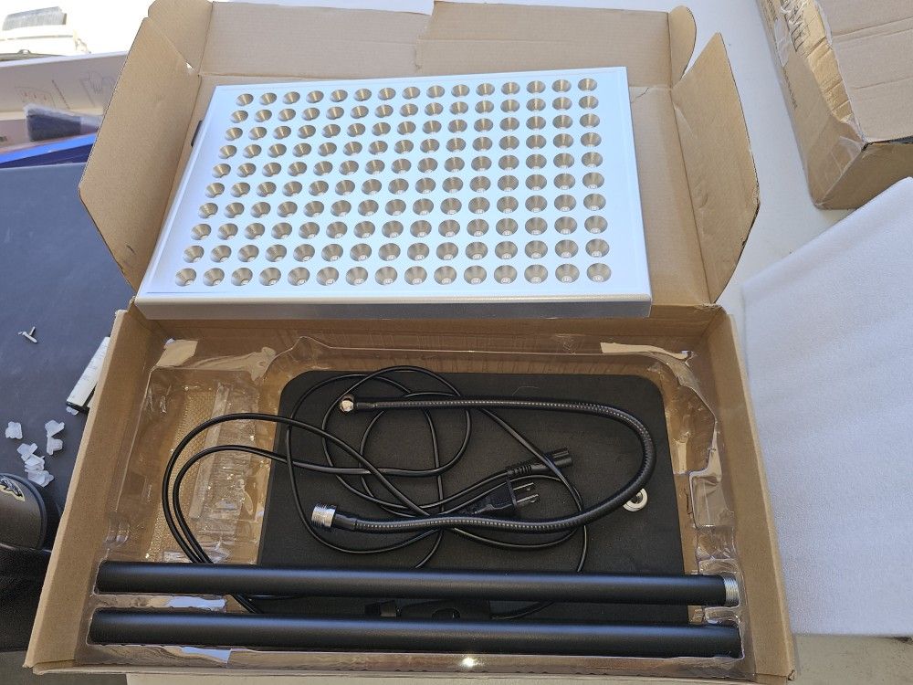 Women's Frd Light Fixture 