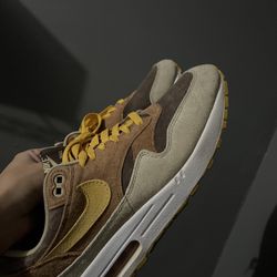 NIKE AIR MAX 1 “UGLY DUCKLING”