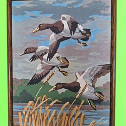 Vintage Paint-by-Number Framed Duck Painting