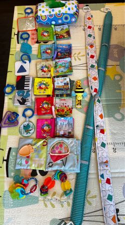 Baby Play Gym & Sensory Toy Bundle – $35