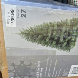 Chritmas Trees