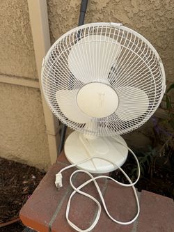 20” fan
