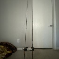 Fishing Rods