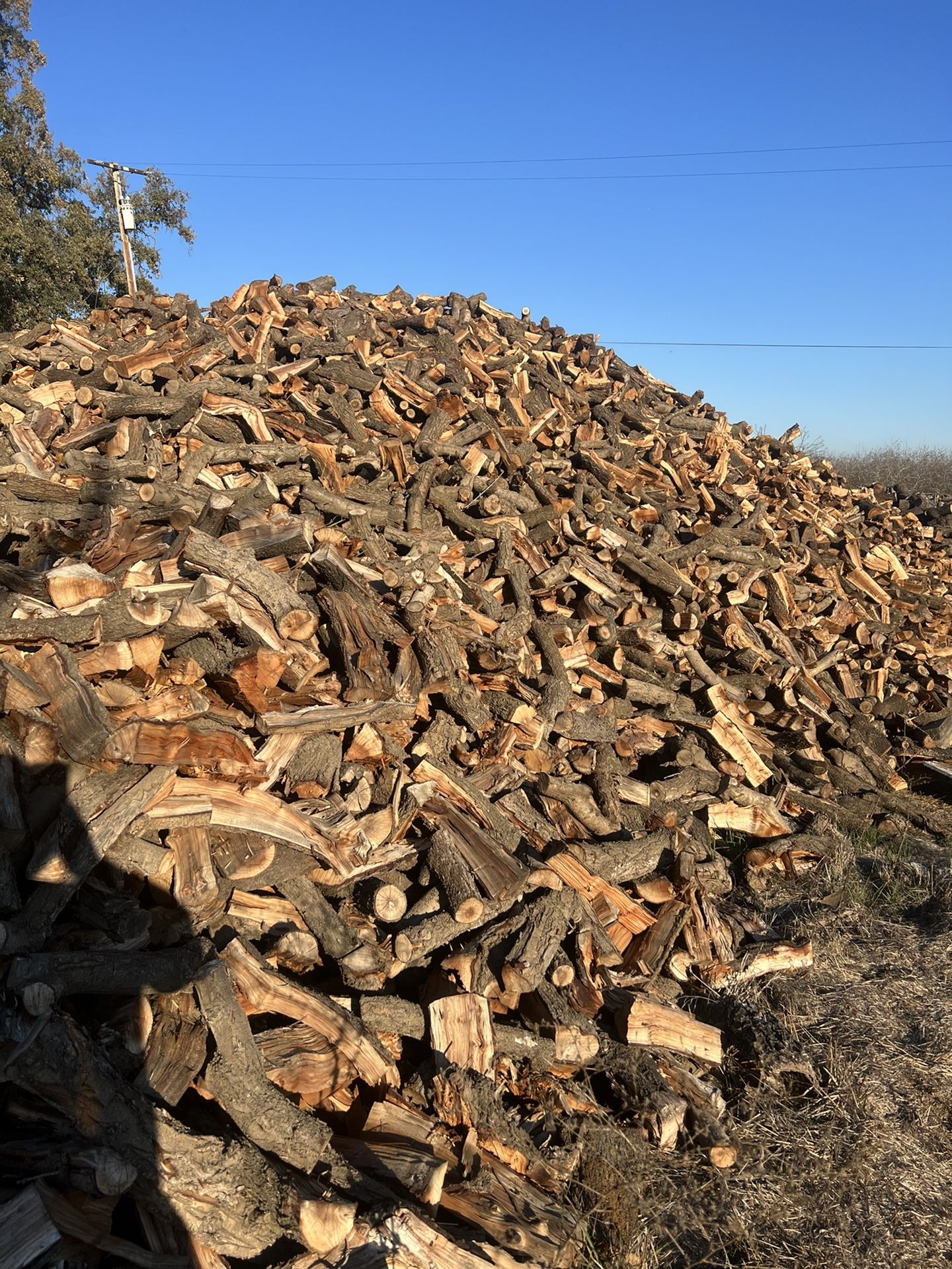 Almond Firewood Seasoned 
