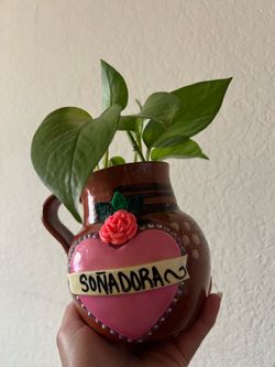 Hermosa plantita en jarrito hecho a mano