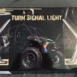 Fang Lights For Rzr