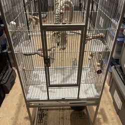 Bird cage and accessories 