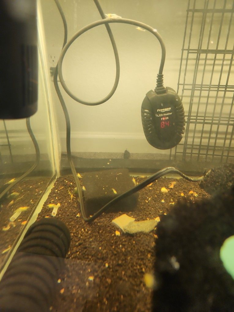 40 Gal Standard, Heaters, Filters, Light, Shelving