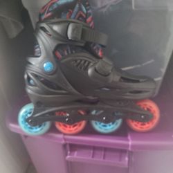 Roller Skates 