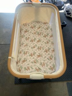 Bassinet - Play Mat