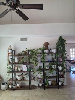Two bookshelves