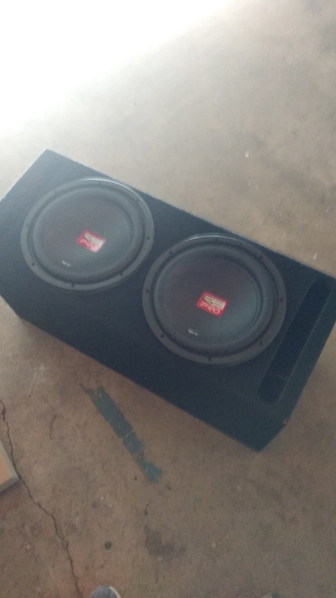 R3 audio-RT PRO 12" subwoofers in box