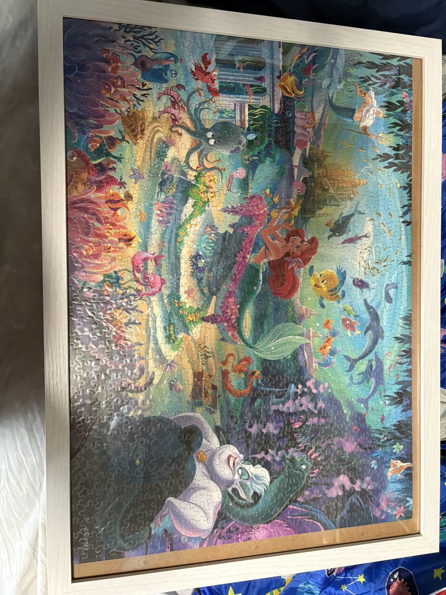 Framed Disney Puzzles