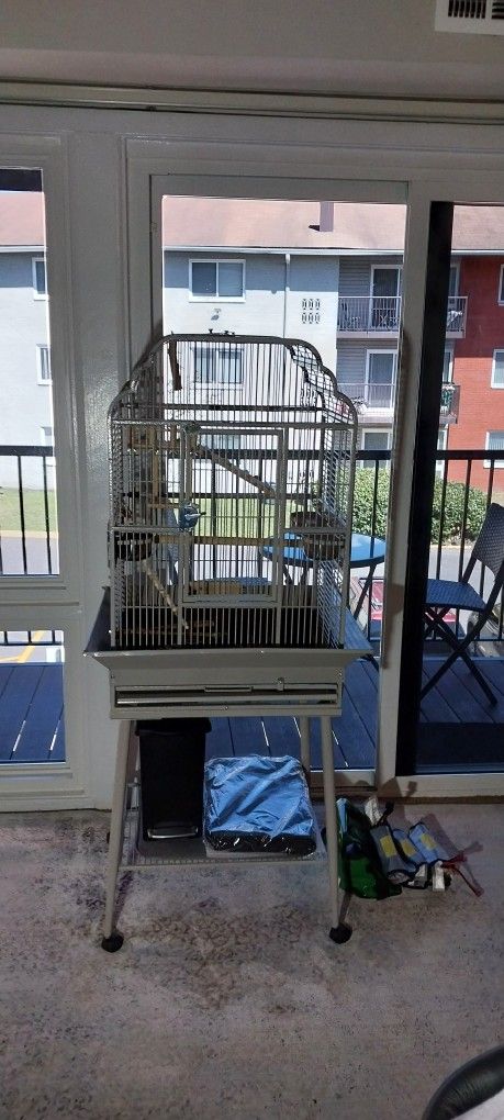 BIRD CAGE 