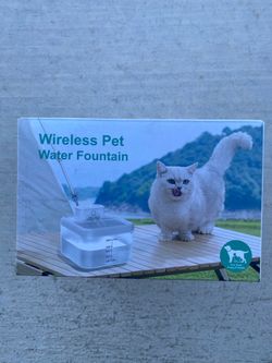 Cat water  fountain