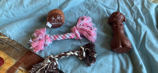 Dog coat and costumes with toys ! All separate prices see description!