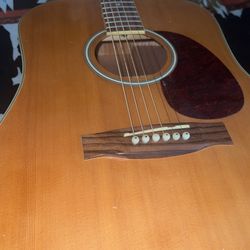 acoustic guitar